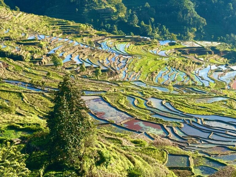 Viaje de autor por China con Mstravellers