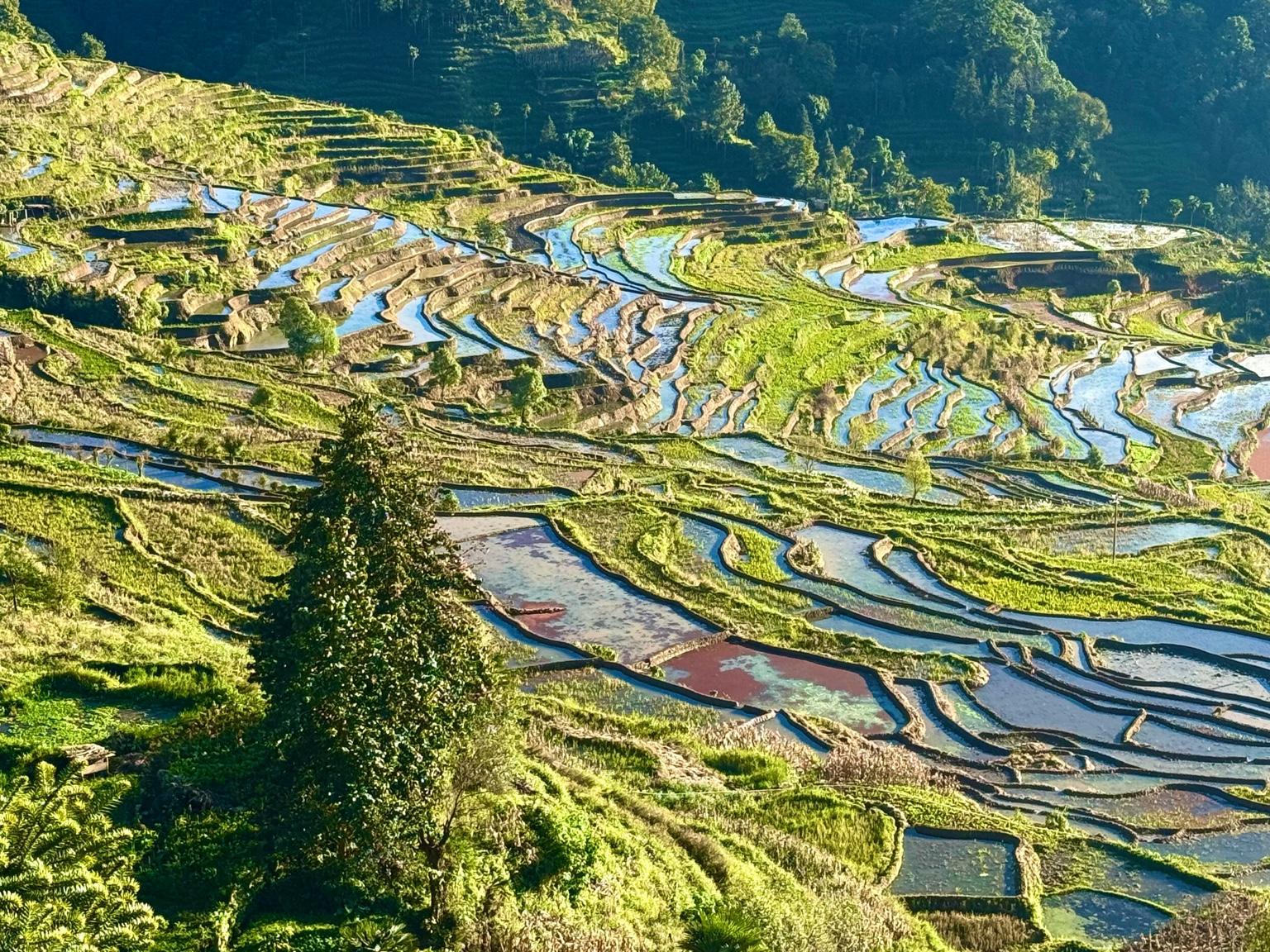 Viaje de autor por China con Mstravellers